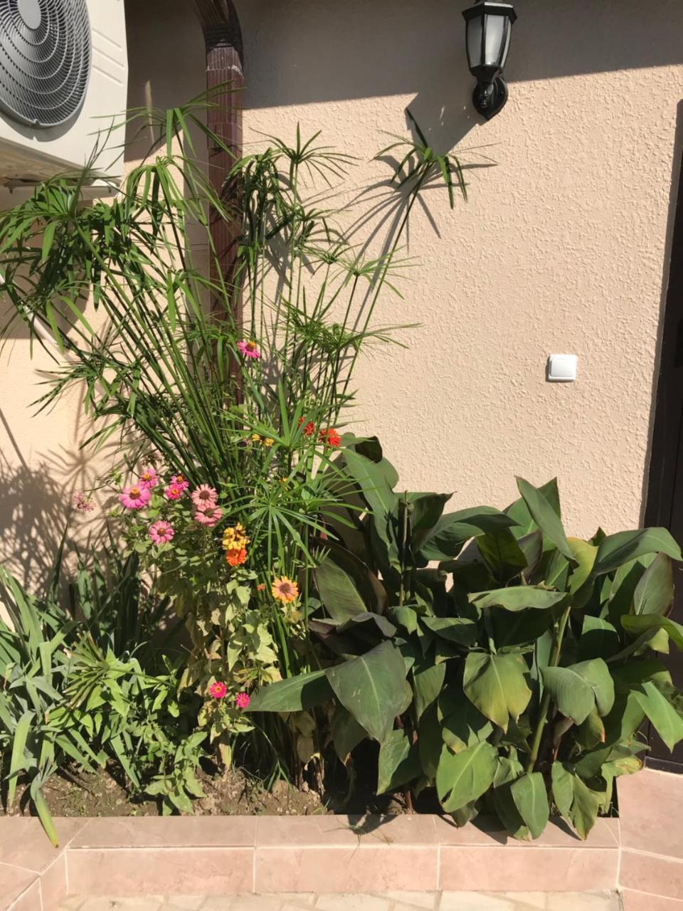 גודאותה Guest House Palmovaia Gavan מראה חיצוני תמונה